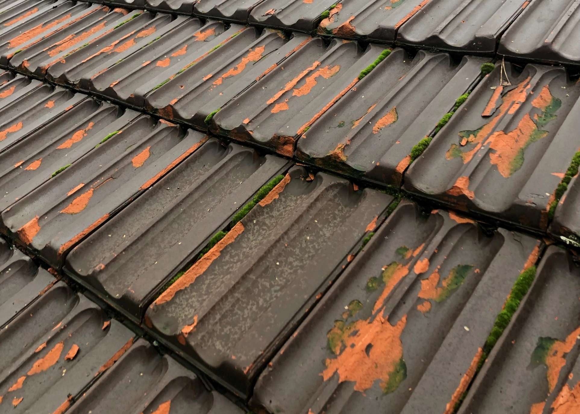 Toiture non entretenue avec beaucoup de saleté